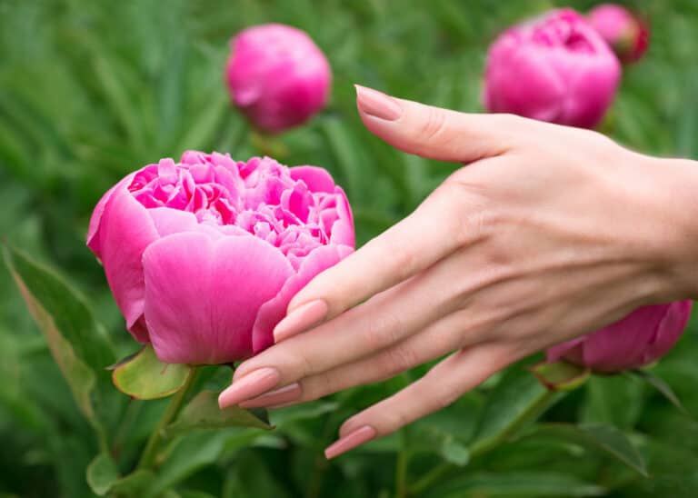 3 Best Nail Brushes For Gardeners