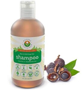 Nature-Sustained-Probiotic-Shampoo - Beautygab Nature Sustained Probiotic Shampoo