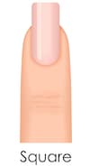 Different fashion nail shapes. Set kinds of nails. Fashion nails type trends. Beauty spa salon woman fingernails set. - Beautygab