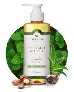 Tree-To-Tub-Soapberry-Shampoo - Beautygab Tree To Tub Soapberry Shampoo