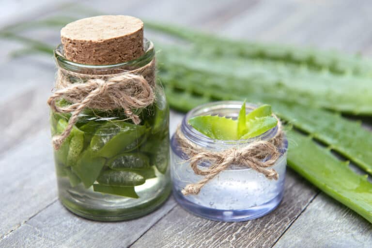 Aloe vera gels for hair