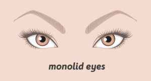 Various types of woman eyes. - Beautygab