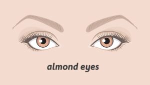 Various types of woman eyes. - Beautygab