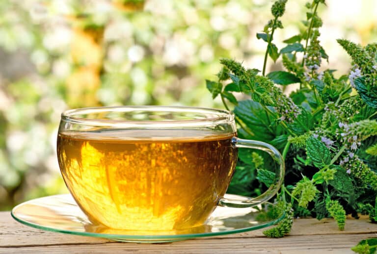 Peppermint Tea For Acne – Does It Work?