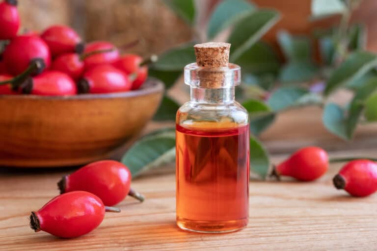 Rosehip Oil Vs Rosehip Seed Oil