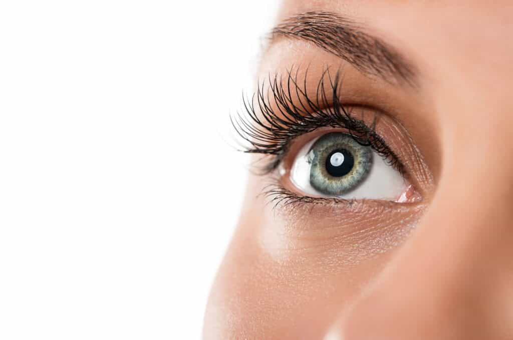 eye lashes - Beautygab eye lashes