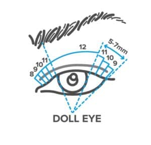 Types of eyelash extensions. Illustration for your design - Beautygab