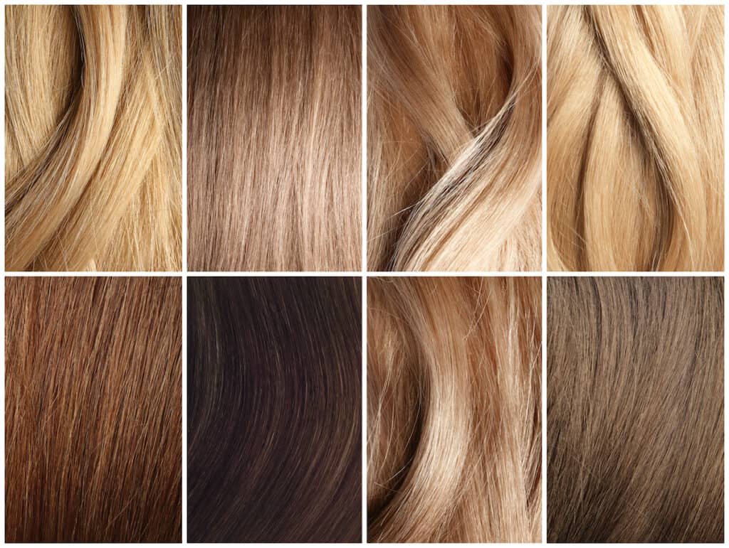 Set with color hair samples. Beauty and professional treatment - Beautygab