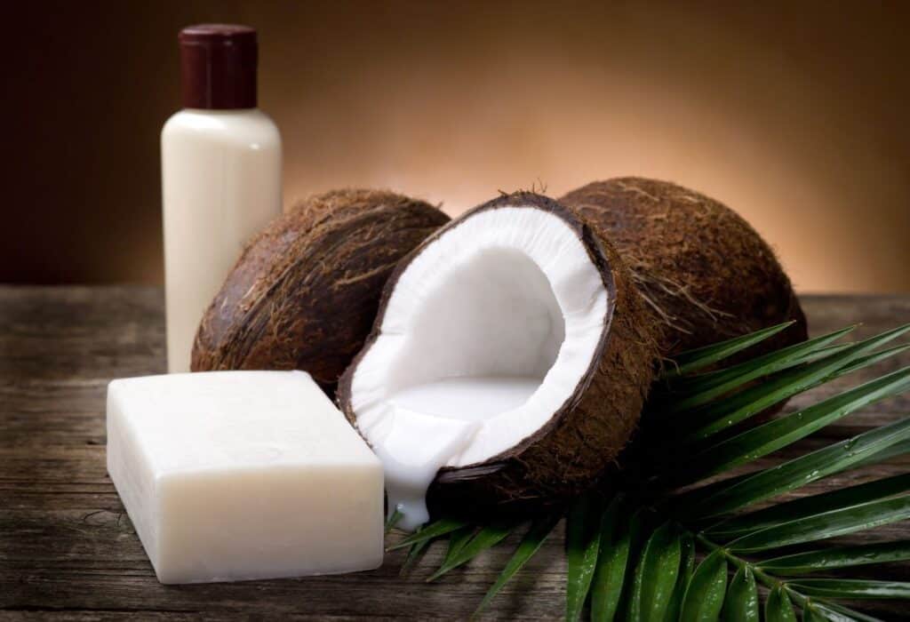 coconut milk soap benefits - Beautygab