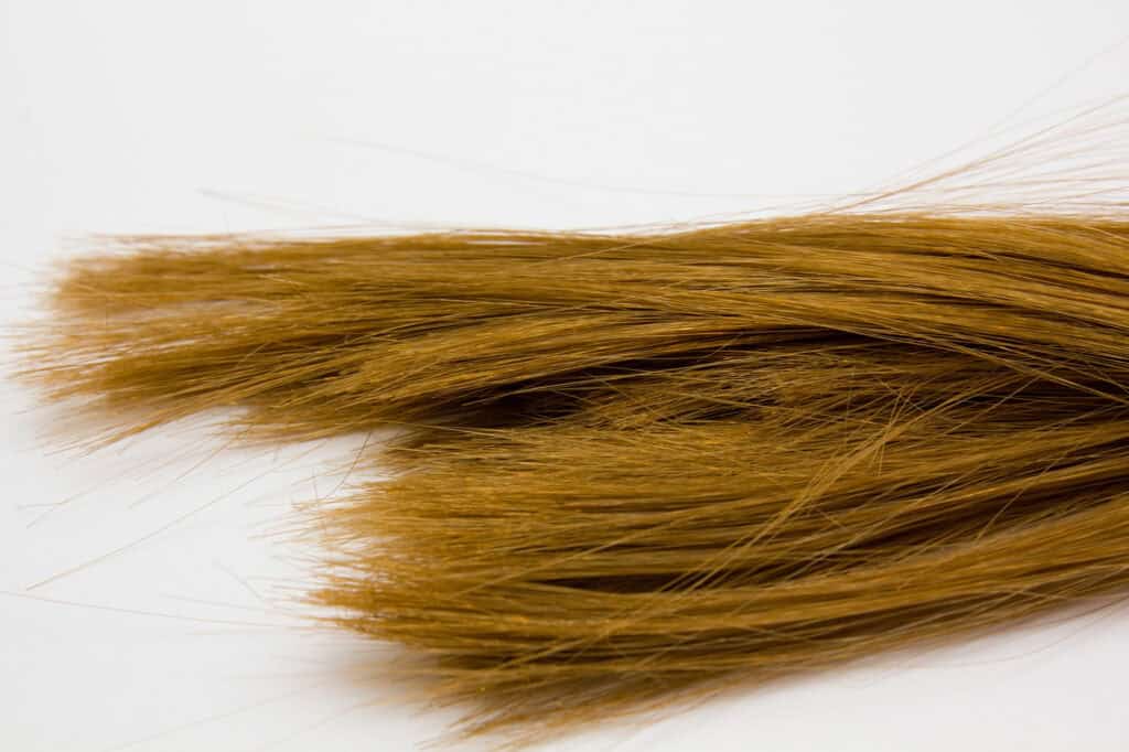 Hair density - Beautygab Hair density